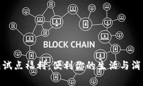 数字钱包试点福利：便利你的生活与消费新时代